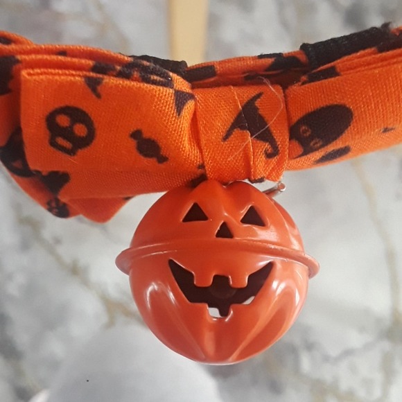 Halloween dog collar - Picture 6 of 6